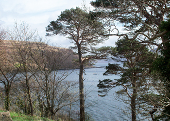 Isle of Skye