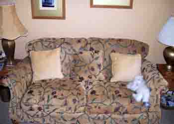 Derwent three seater sofa